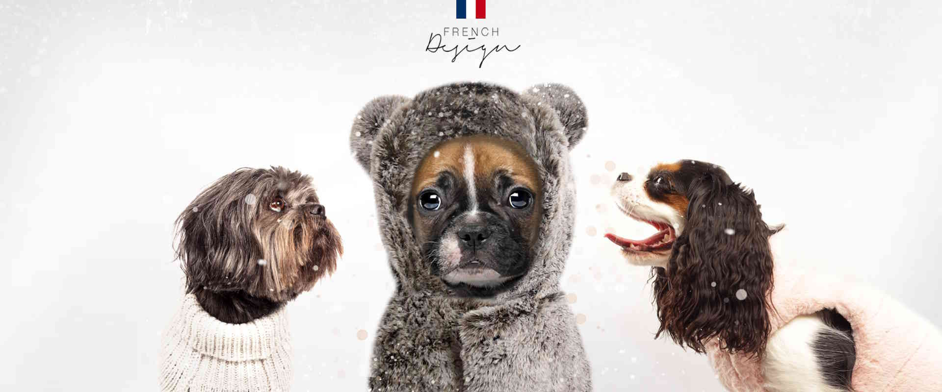 Dog discount fashion accessories